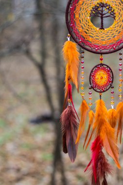 Tüy, deri, boncuk ve ipleri yapılmış Dreamcatcher