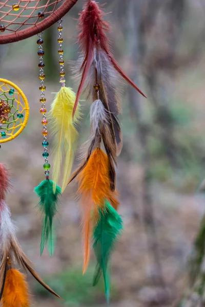 Acchiappasogni in piume, pelle, perline e corde — Foto Stock