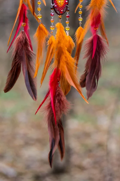 Dreamcatcher z peří, kůže, korálky a lana — Stock fotografie