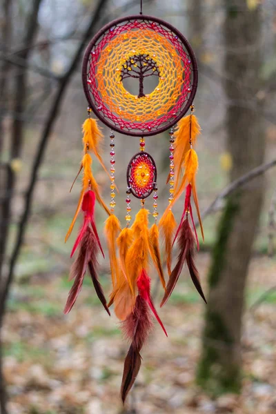 Atrapasueños hecho de plumas, cuero, cuentas y cuerdas — Foto de Stock