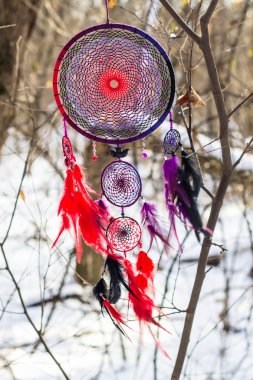 Tüy, deri, boncuk ve ipleri yapılmış Dreamcatcher