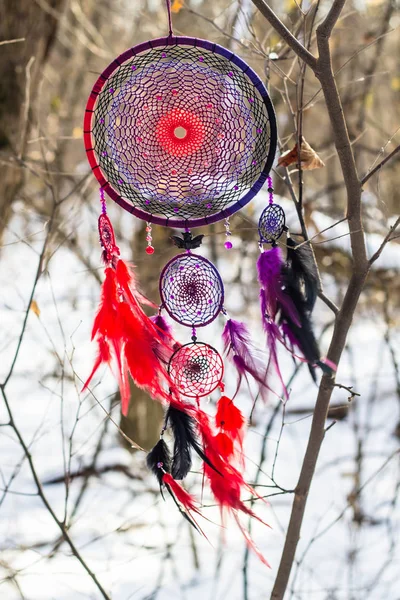 Tüy, deri, boncuk ve ipleri yapılmış Dreamcatcher