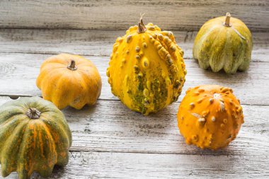 kabaklar ve kış squashes farklı tür
