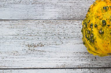 Beyaz ahşap zemin üzerinde bir kabak