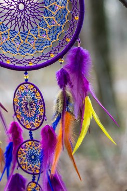 Tüy, deri, boncuk ve ipleri yapılmış Dreamcatcher