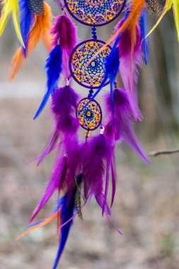 Tüy, deri, boncuk ve ipleri yapılmış Dreamcatcher