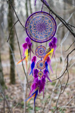 Tüy, deri, boncuk ve ipleri yapılmış Dreamcatcher