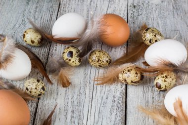 Paskalya arka plan Paskalya yumurta ve tavuk tüyleri yapılmış