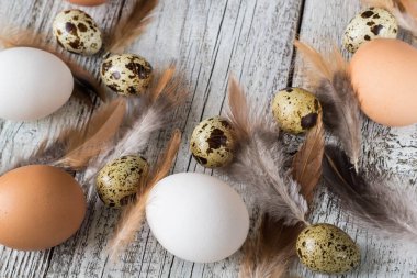 Paskalya arka plan Paskalya yumurta ve tavuk tüyleri yapılmış