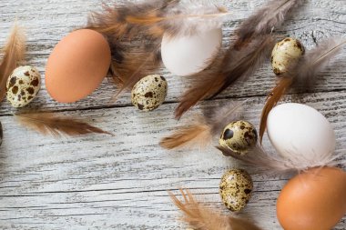 Paskalya arka plan Paskalya yumurta ve tavuk tüyleri yapılmış