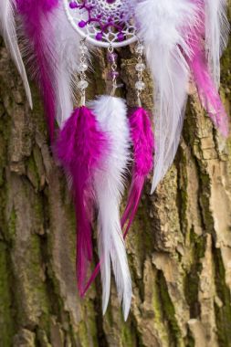 Tüy, deri, boncuk ve ipleri yapılmış Dreamcatcher