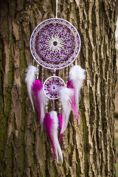 Tüy, deri, boncuk ve ipleri yapılmış Dreamcatcher — Stok fotoğraf