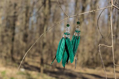 Şube tüyler ile küpe