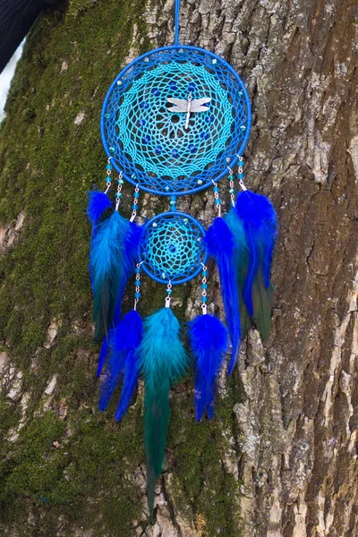 Dreamcatcher en plumes, cuir, perles et cordes — Photo