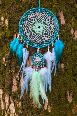 Tüy, deri, boncuk ve ipleri yapılmış Dreamcatcher