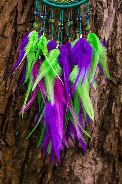 Tüy, deri, boncuk ve ipleri yapılmış Dreamcatcher