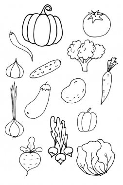 sebze Vejetaryen Gıda doodle, sketch vektör arka plan