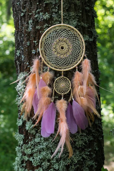 Dreamcatcher feito de penas, couro, contas e cordas — Fotografia de Stock