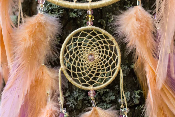 Dreamcatcher made of feathers, leather, beads, and ropes — Stock Photo, Image