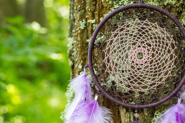 Dreamcatcher feito de penas, couro, contas e cordas — Fotografia de Stock