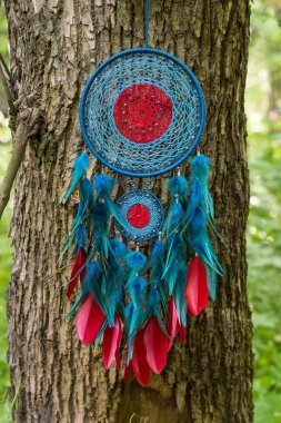Tüy, deri, boncuk ve ipleri yapılmış Dreamcatcher