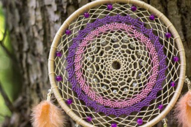 Tüy, deri, boncuk ve ipleri yapılmış Dreamcatcher