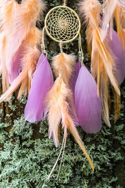 羽、革、ビーズ、そしてロープのドリーム キャッチャー — ストック写真