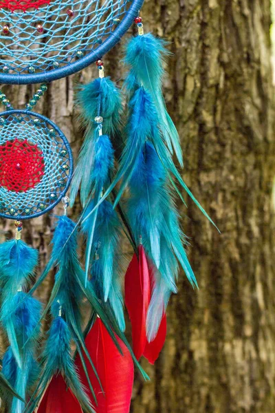 Tüy, deri, boncuk ve ipleri yapılmış Dreamcatcher — Stok fotoğraf