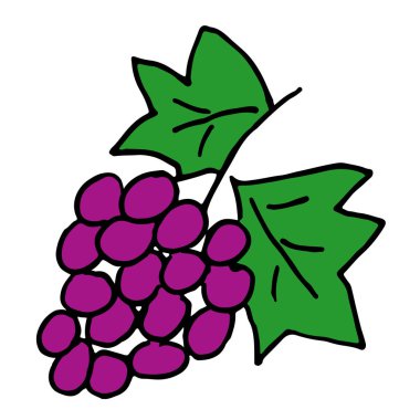 Vektör Illustration el çekilmiş renkli üzüm