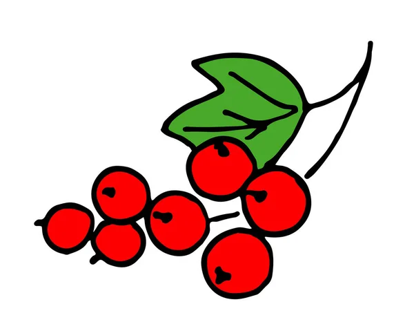 Berry merah currant pada cabang hijau pada latar belakang putih - Stok Vektor