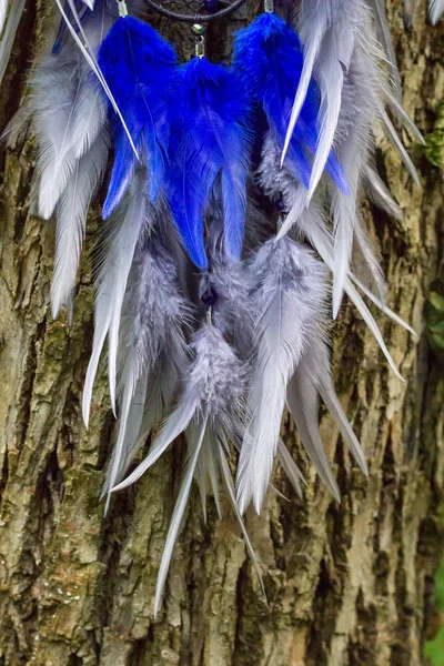 Dreamcatcher made of feathers, leather, beads, and ropes — Stock Photo, Image