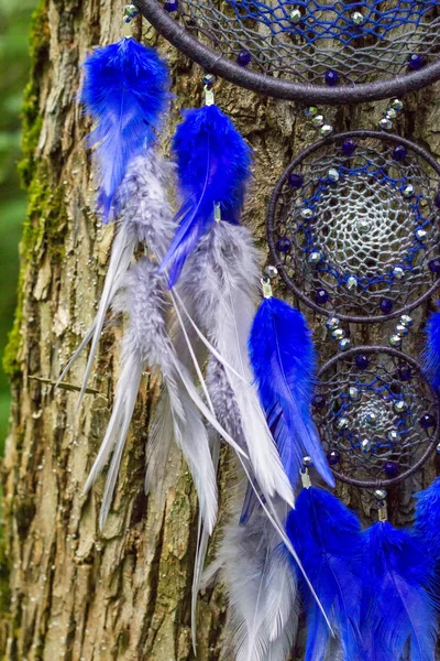 Dreamcatcher en plumes, cuir, perles et cordes — Photo