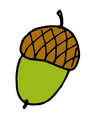 Meşe palamudu simge vektör çizim el tarzı çizilmiş.