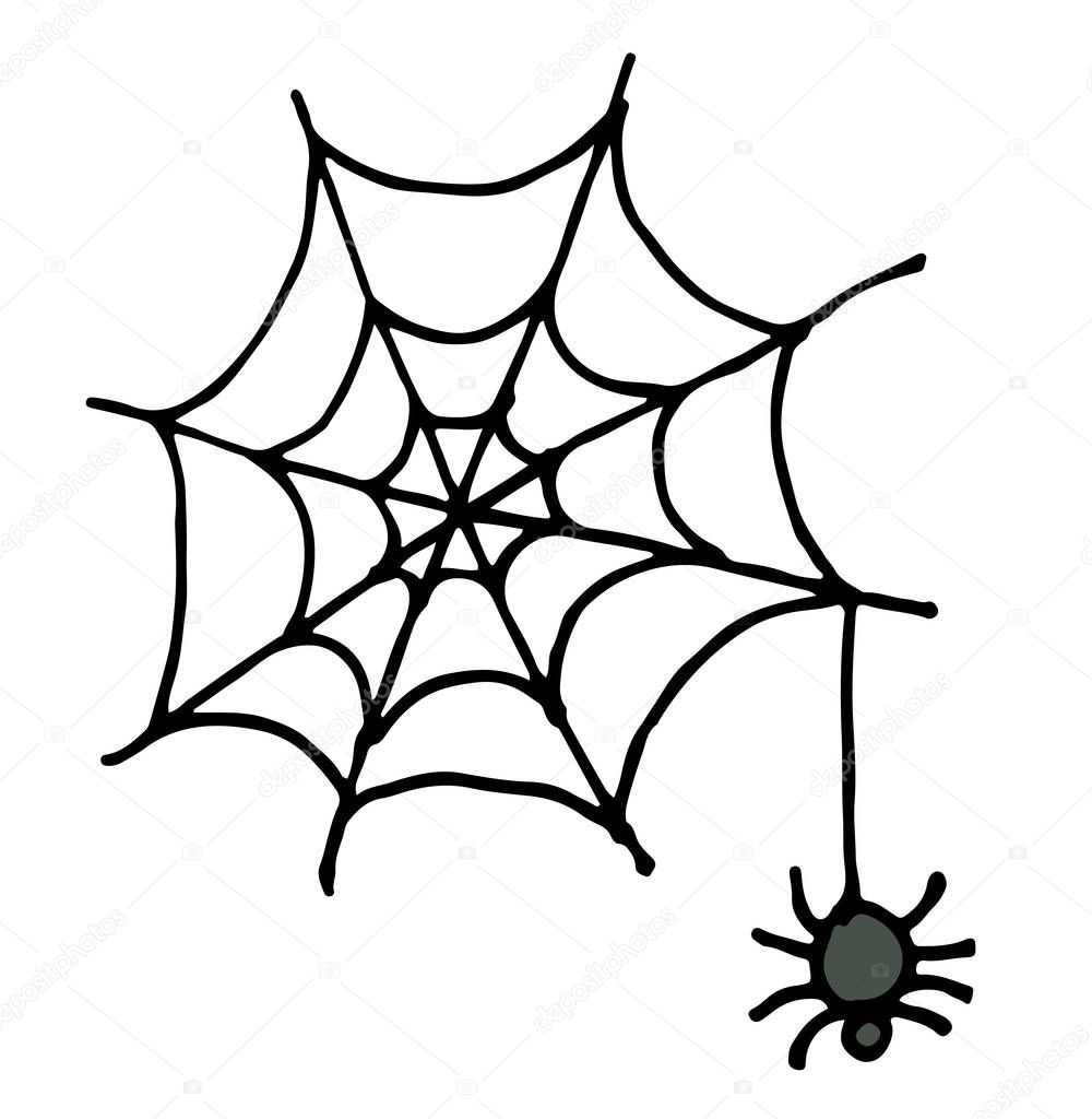 Hand Draw sketch, spider and web vector illustration