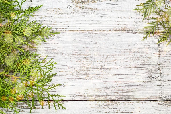 Thuja ramitas sobre fondo de madera blanca con nieve y bokeh, espacio de copia — Foto de Stock