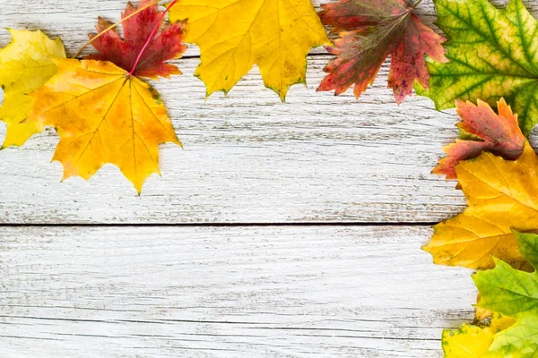 Sezonowe ramki jesienny klon liści na białym tle drewnianych — Zdjęcie stockowe