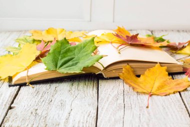 Açık kitap ve Beyaz ahşap arka plan üzerinde renkli akçaağaç yaprakları