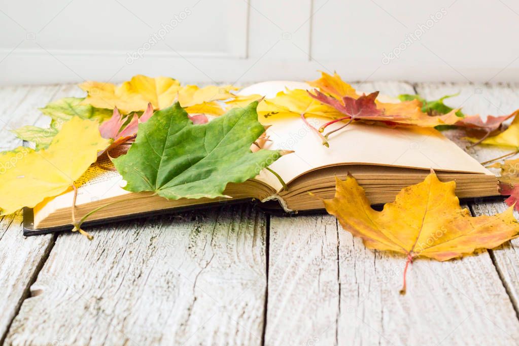 Open Book and colorful maple leaves on white wooden background