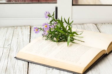 Bakire Aster çiçek penceresinde açık kitap üzerine çiçek açmış. Sonbahar yaz arka plan