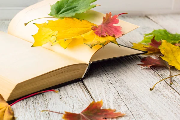 Open Book and colorful maple leaves on white wooden background — Stock Photo, Image