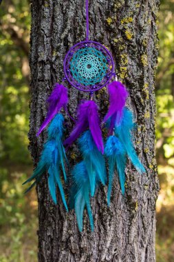 El yapımı rüya yakalayıcı iple asılı tüyler konu ve boncuk