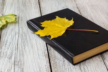 Kitap ve Beyaz ahşap arka plan üzerinde renkli akçaağaç yaprakları