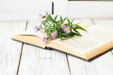 Bakire Aster çiçek penceresinde açık kitap üzerine çiçek açmış. Sonbahar yaz arka plan