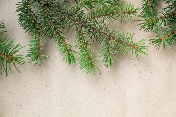 Tannenzweige auf hellem rustikalem Hintergrund, gut für weihnachtliche Kulisse — Stockfoto