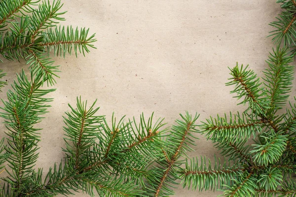 Fir branches border on light rustic background, good for christmas backdrop — Stock Photo, Image