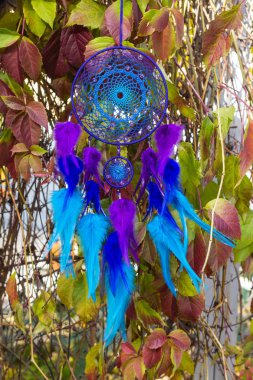 El yapımı rüya yakalayıcı iple asılı tüyler konu ve boncuk