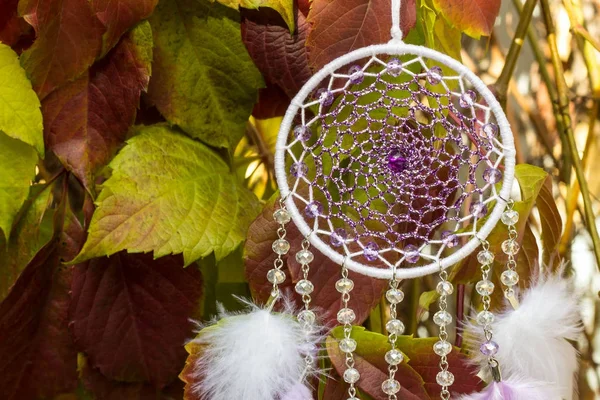 Handmade dream catcher with feathers threads and beads rope hanging — Stock Photo, Image