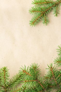 açık renkli rustik çam dalları sınırında, Noel zemin için iyi