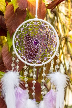 El yapımı rüya yakalayıcı iple asılı tüyler konu ve boncuk