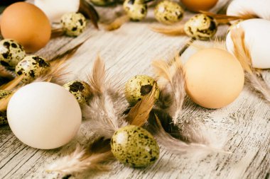 Paskalya arka plan Paskalya yumurta ve tavuk tüyleri çerçeve yapılmış. Kopya alanı, tonda